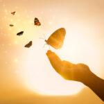 Akashic Records Mentoring