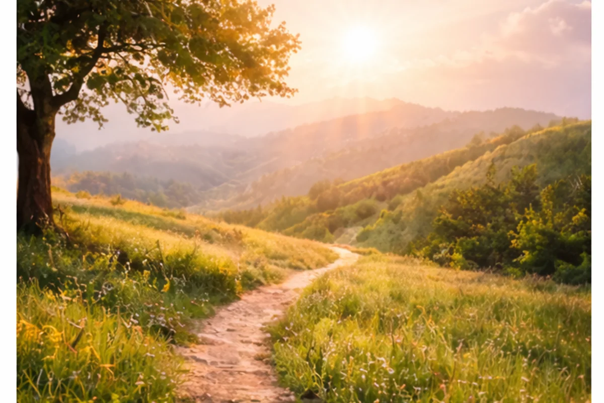 Manifesting Your Soul's Purposes Certification